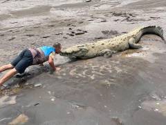 Cocodrilos Rio Tárcoles Costa Rica