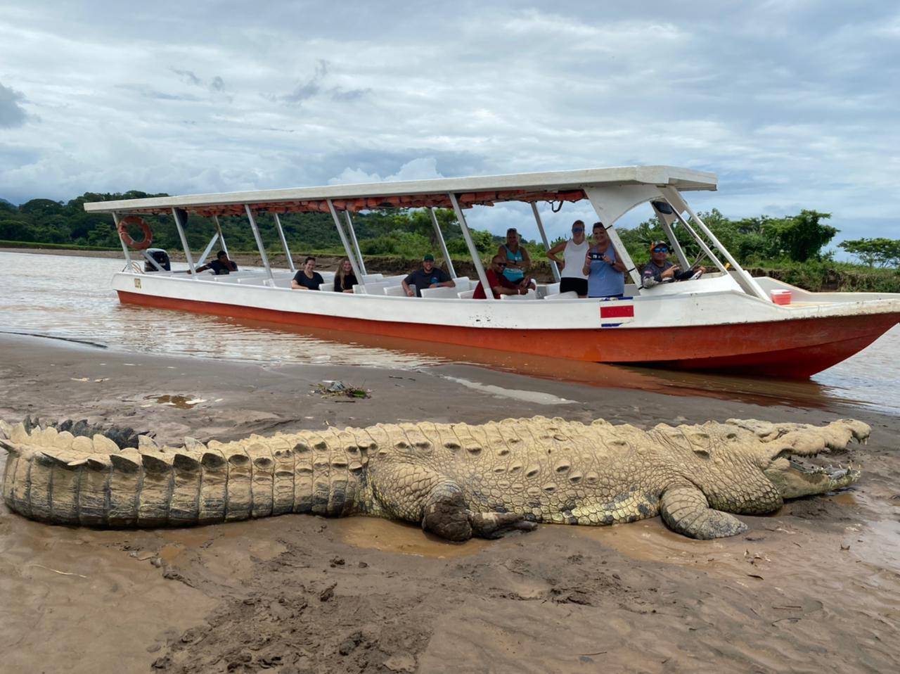 Tour cocodrilos en el río Tárcoles - Hotel D'Lucia