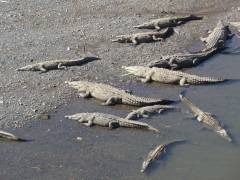 Hotel D'Lucia Costa Rica